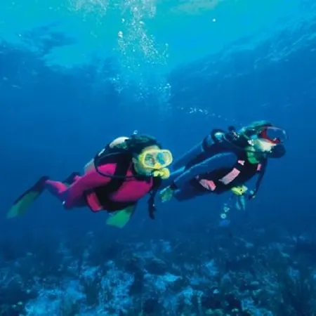 Marazul Del Sur 아파트